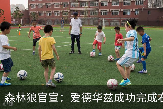 森林狼官宣：爱德华兹成功完成右膝关节镜清创手术 预计缺席两月